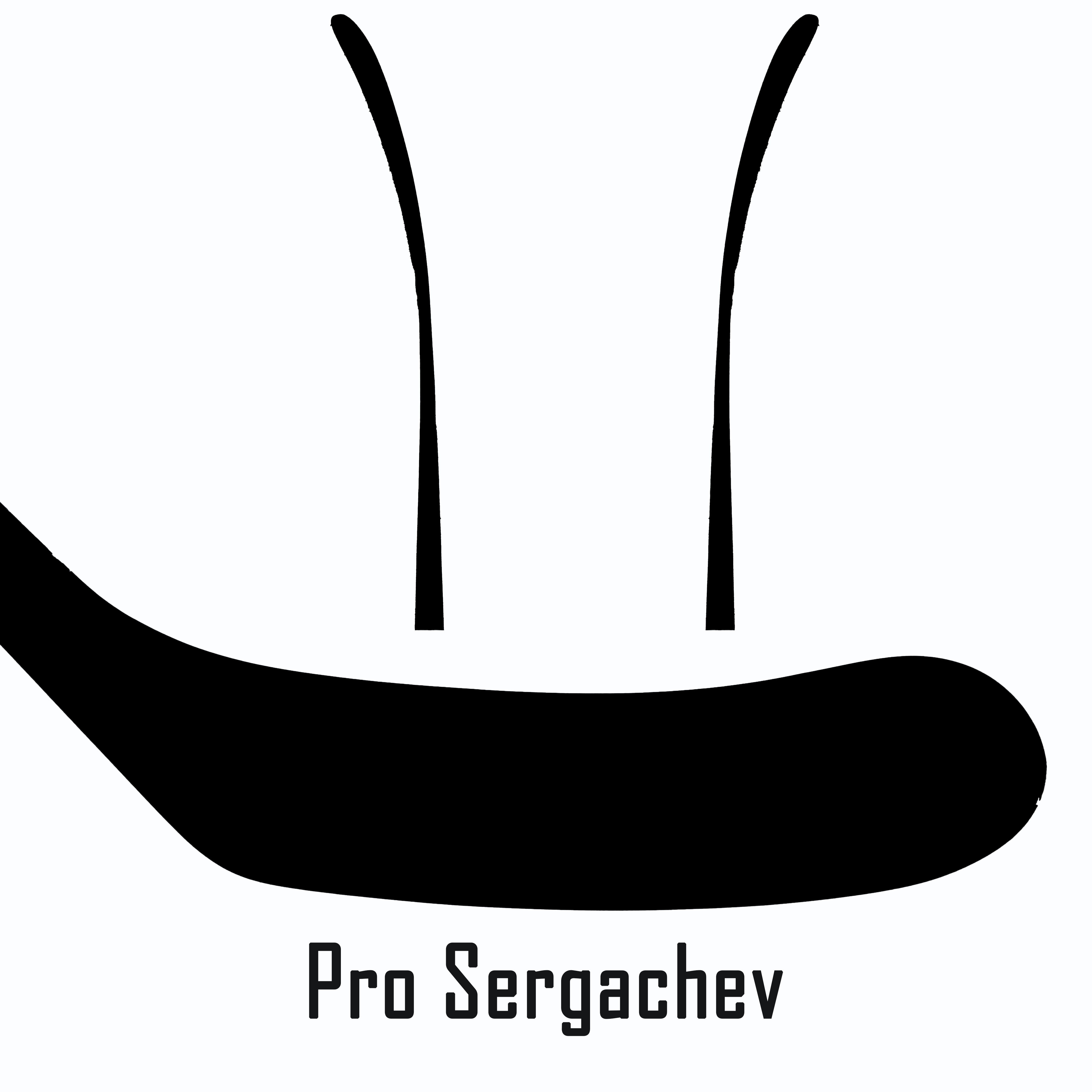 Mikhail Sergachev Pro Stock - CCM Jetspeed FT5 Pro (LNH)